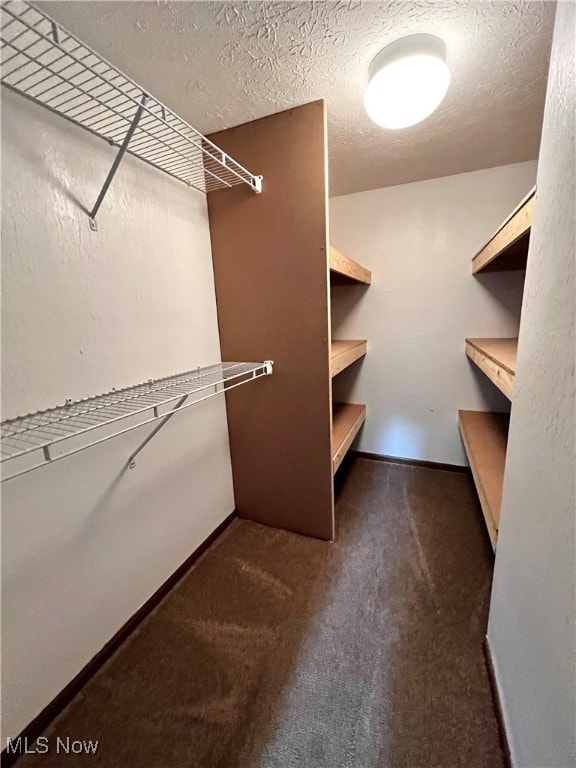 walk in closet featuring dark colored carpet