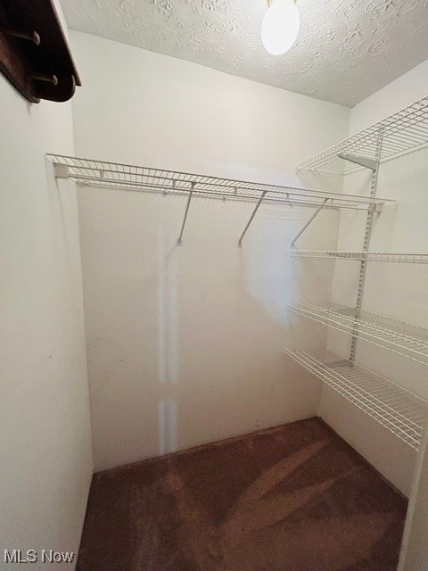 walk in closet featuring carpet flooring