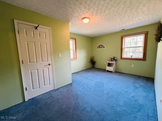 interior space featuring carpet and a textured ceiling