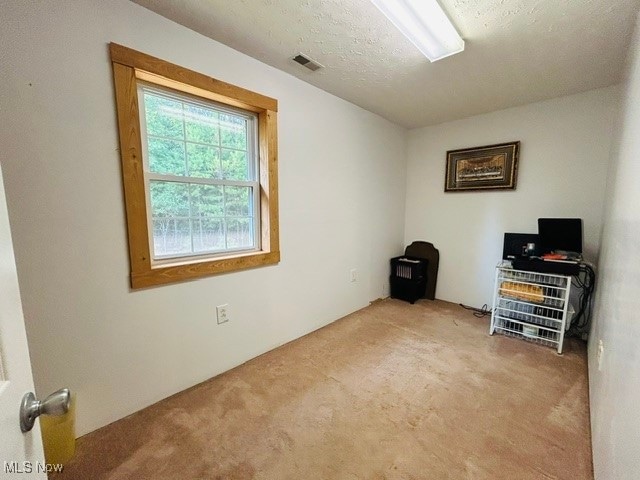 office area featuring light carpet and a textured ceiling