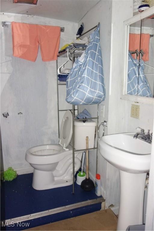 bathroom with a sink and toilet