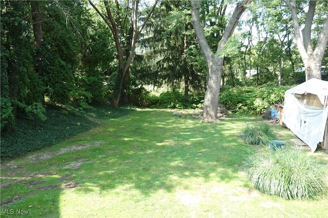 view of yard