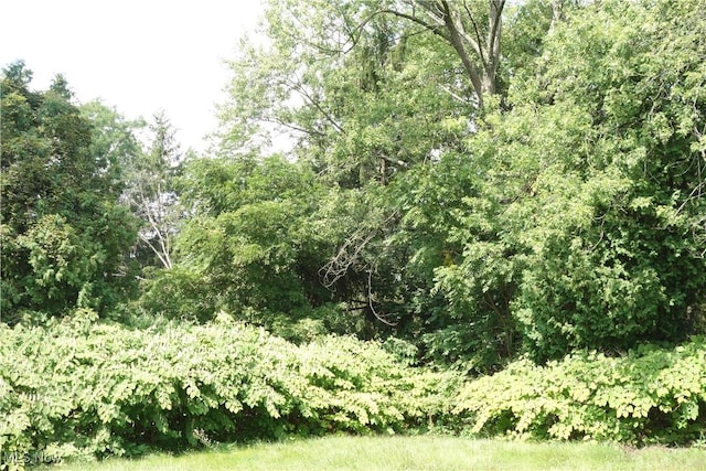 view of nature featuring a forest view