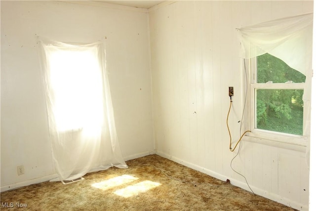 carpeted empty room featuring wood walls