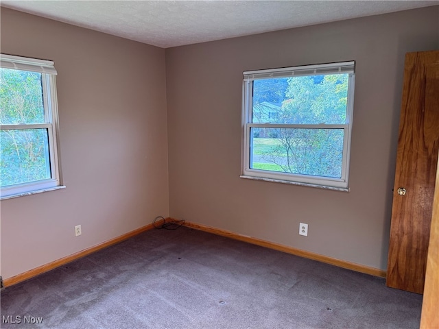 carpeted empty room featuring plenty of natural light and a textured ceiling