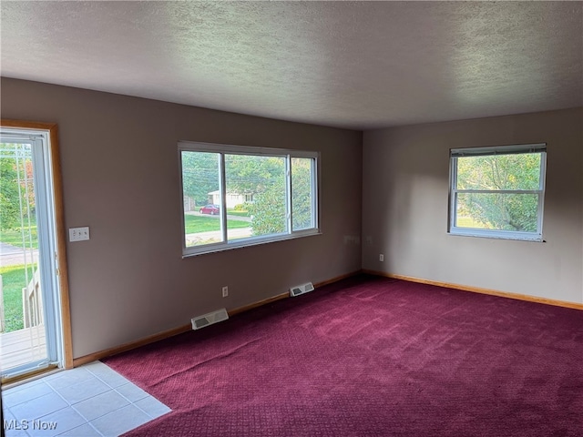 empty room with a wealth of natural light, carpet, and a textured ceiling