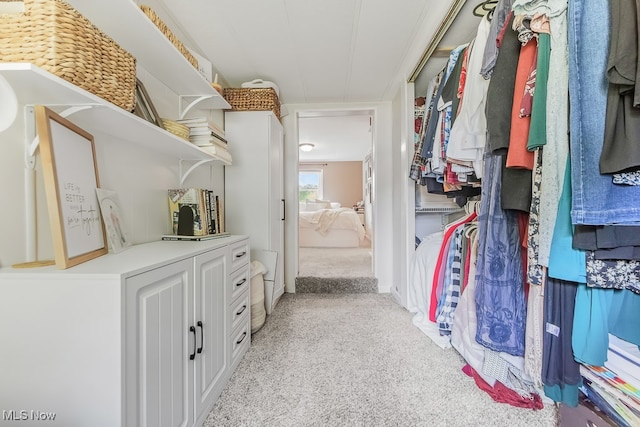 spacious closet with light carpet