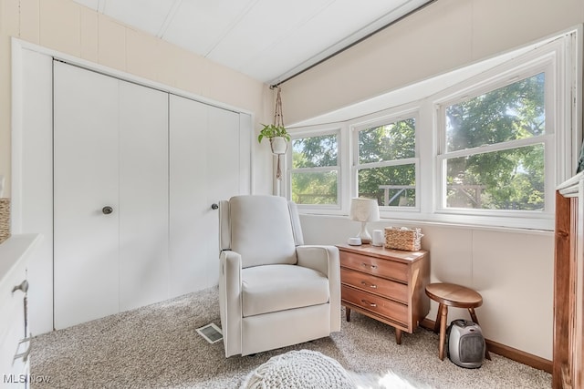 living area featuring light colored carpet