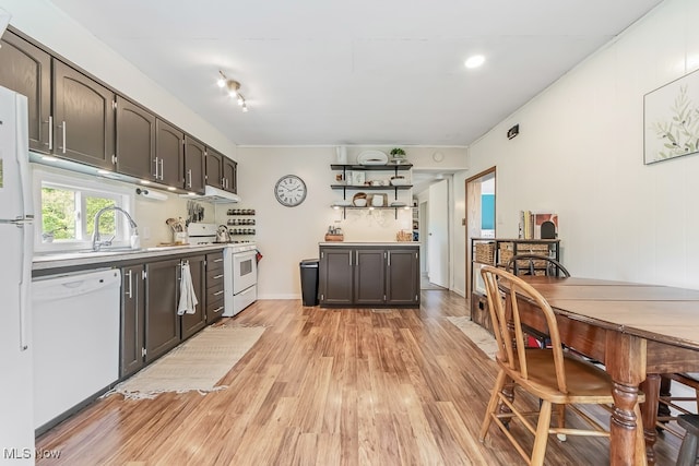 kitchen with track lighting, white appliances, light hardwood / wood-style flooring, sink, and dark brown cabinetry