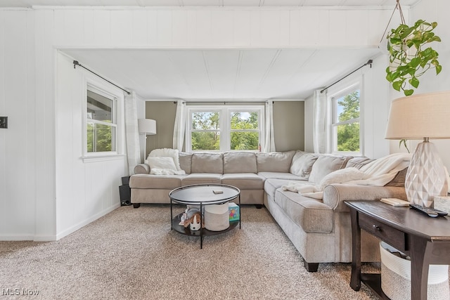 living room with light colored carpet