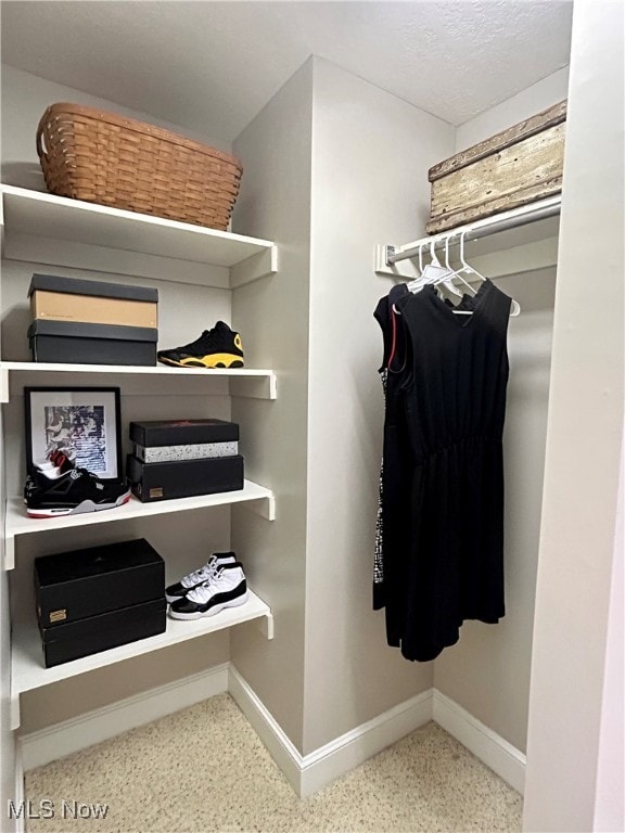 view of walk in closet