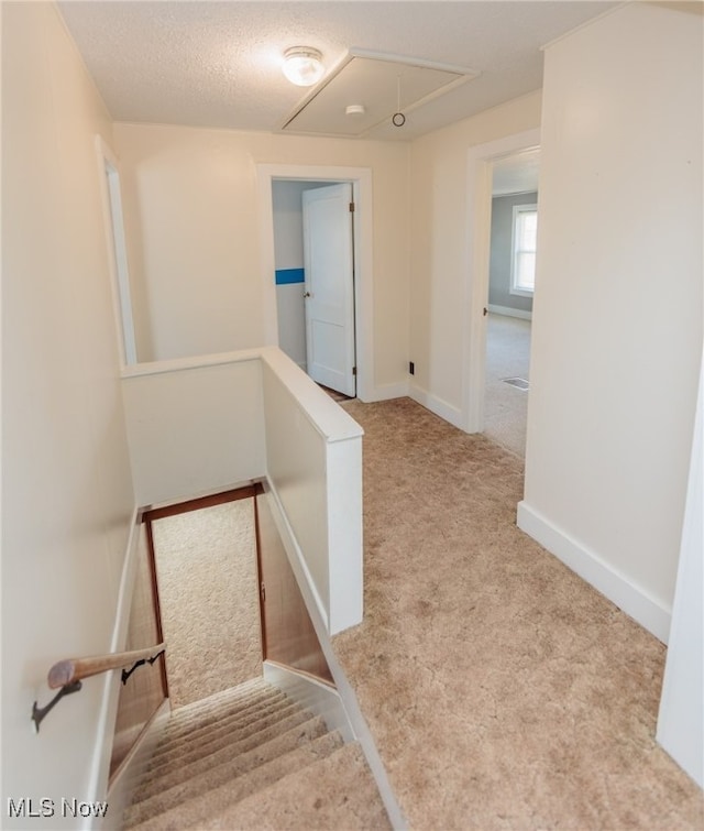 stairs with a textured ceiling and carpet flooring