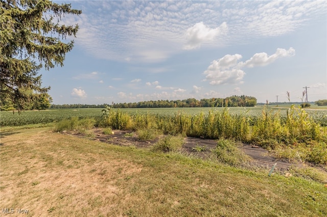 view of yard featuring a rural view