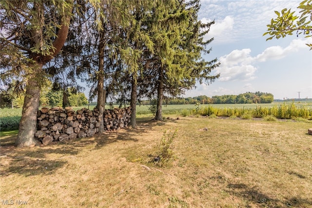 view of yard featuring a rural view