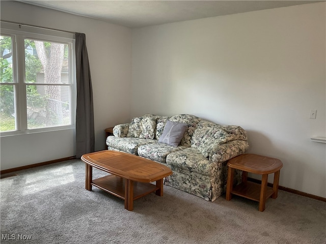 living room featuring carpet floors