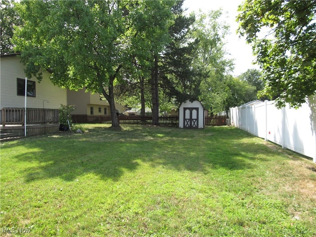 view of yard featuring a shed