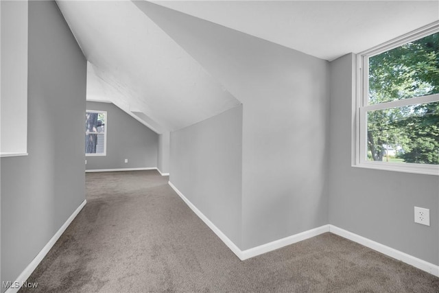 additional living space featuring baseboards, carpet, and vaulted ceiling