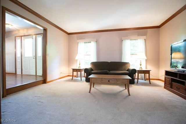 living room with a healthy amount of sunlight, crown molding, and light colored carpet