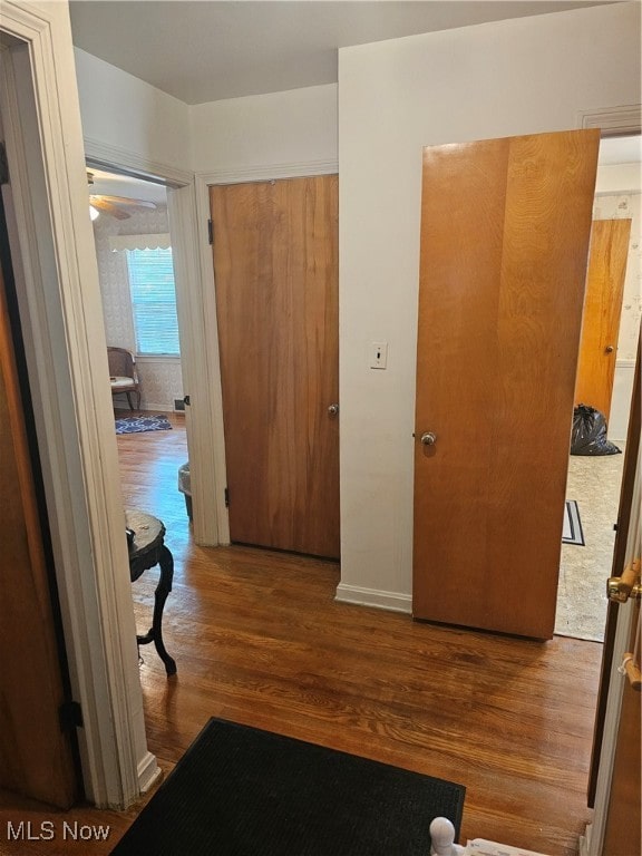 hallway with wood-type flooring