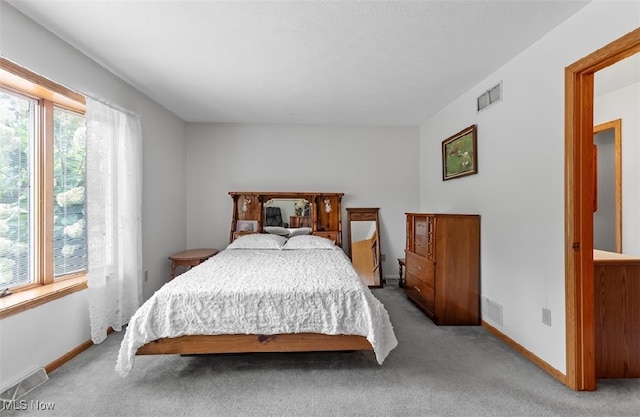 bedroom featuring multiple windows and carpet floors