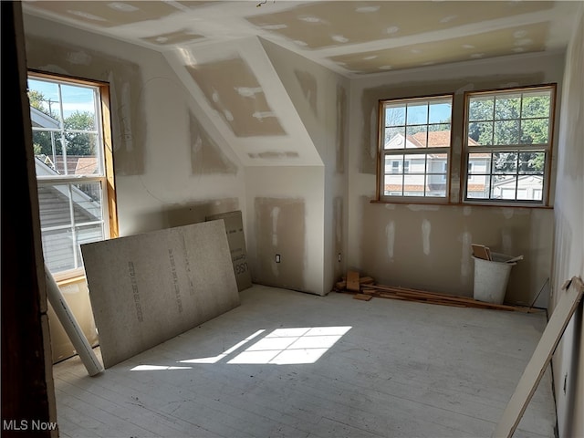 additional living space with vaulted ceiling and a wealth of natural light