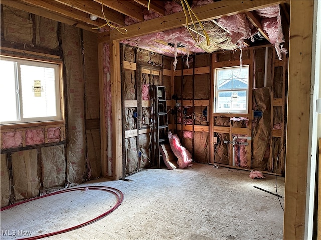 miscellaneous room featuring plenty of natural light