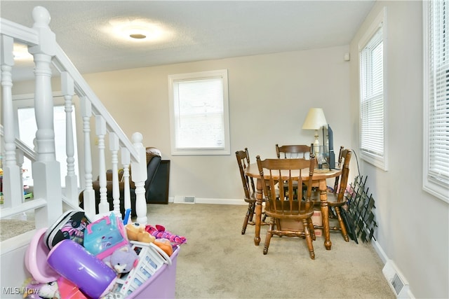 dining room featuring light colored carpet, a textured ceiling, and a wealth of natural light