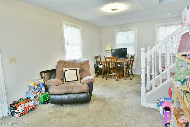 interior space featuring a textured ceiling, a wealth of natural light, and carpet