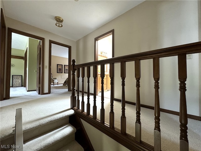 stairway featuring carpet floors