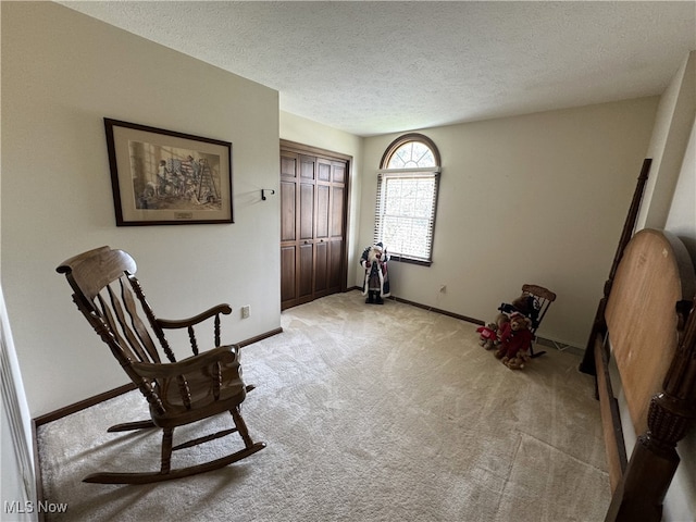 living area featuring light carpet and a textured ceiling