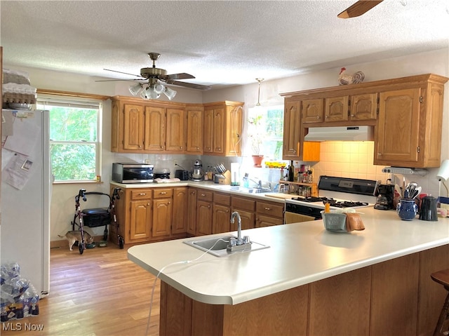 kitchen with a healthy amount of sunlight, ceiling fan, and white refrigerator