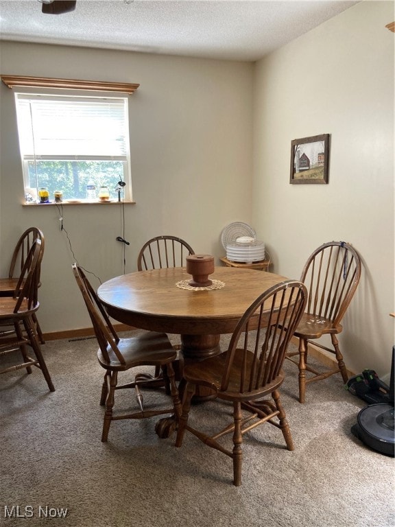 carpeted dining room featuring a textured ceiling