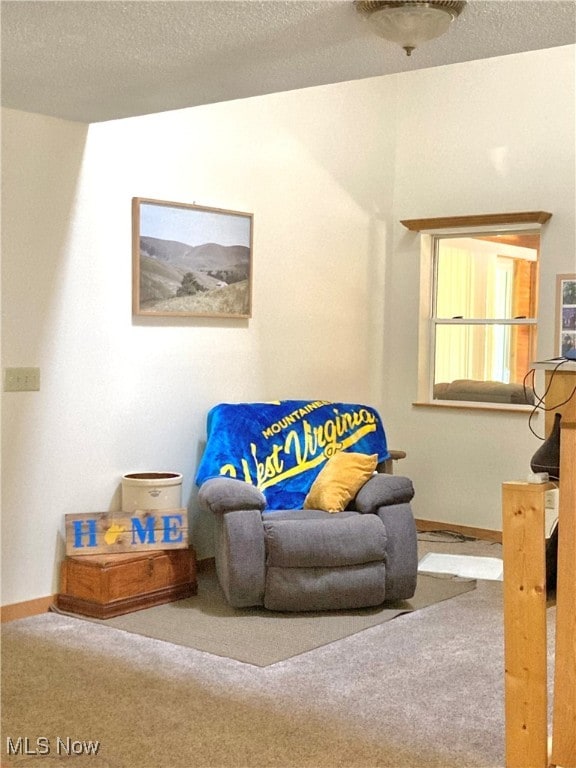 sitting room featuring carpet flooring and a textured ceiling