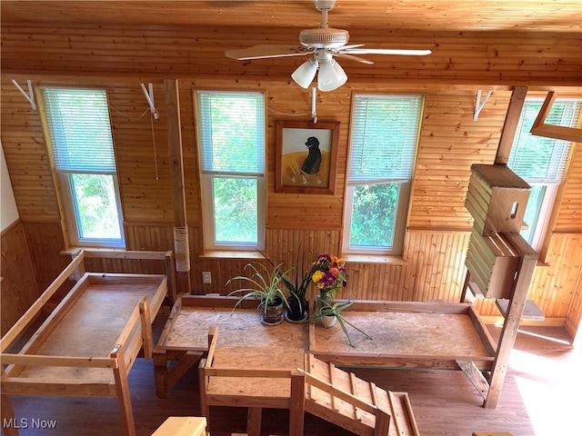 interior space featuring a wealth of natural light, ceiling fan, and wood walls