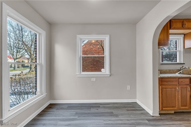 unfurnished dining area with hardwood / wood-style flooring, plenty of natural light, and sink