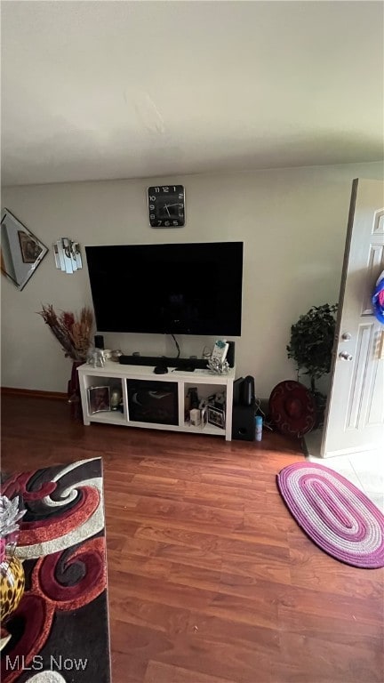 living room featuring wood-type flooring