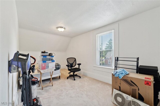 14631 Granger Rd, Maple Heights, OH 44137 - office space with carpet, baseboards, lofted ceiling, and a textured ceiling
