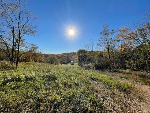 view of nature