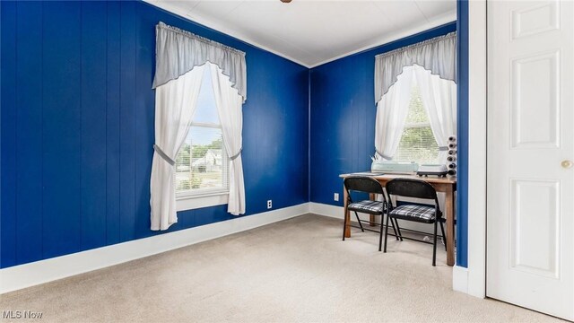 office area with carpet floors