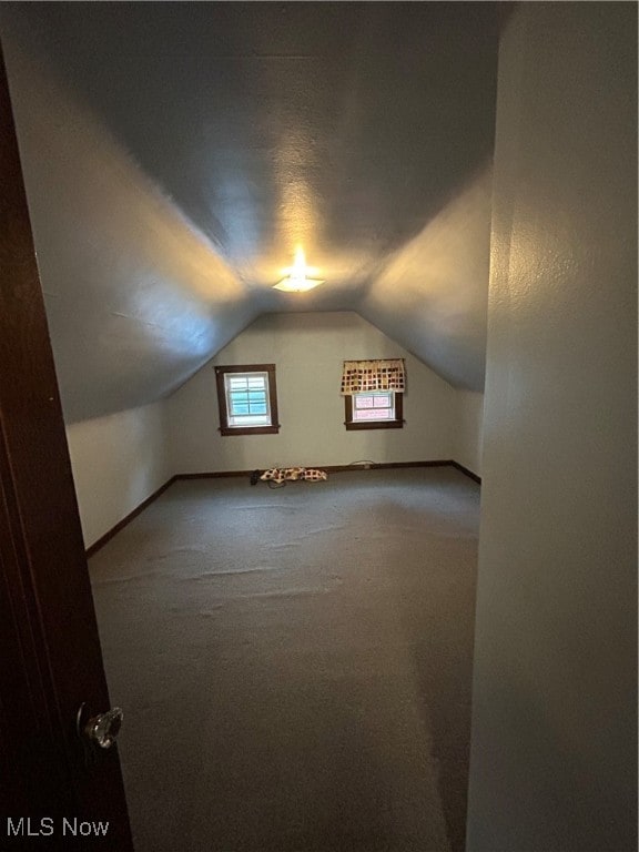 additional living space with lofted ceiling and carpet flooring