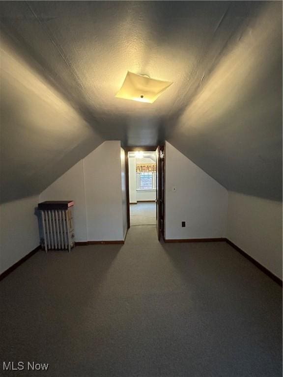 additional living space with lofted ceiling, carpet floors, and baseboards