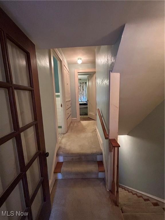 hallway with carpet floors