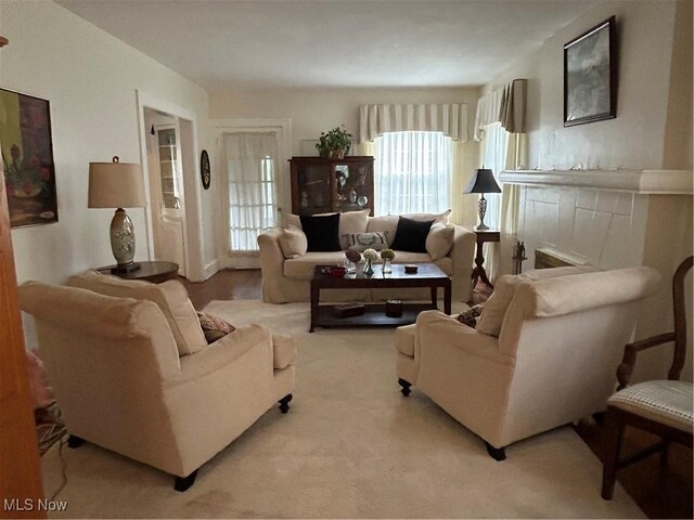 view of carpeted living room