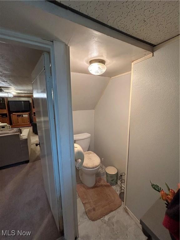 bathroom with lofted ceiling and toilet