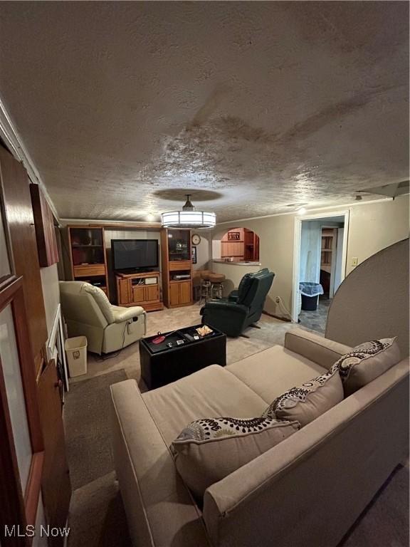 living room with a textured ceiling and carpet floors