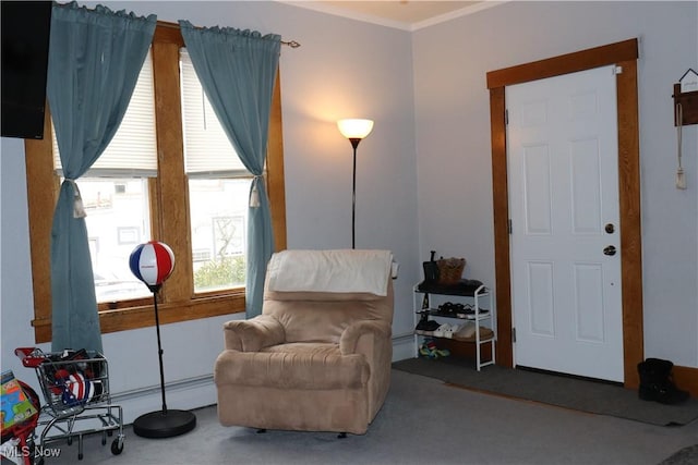 living area featuring carpet and ornamental molding