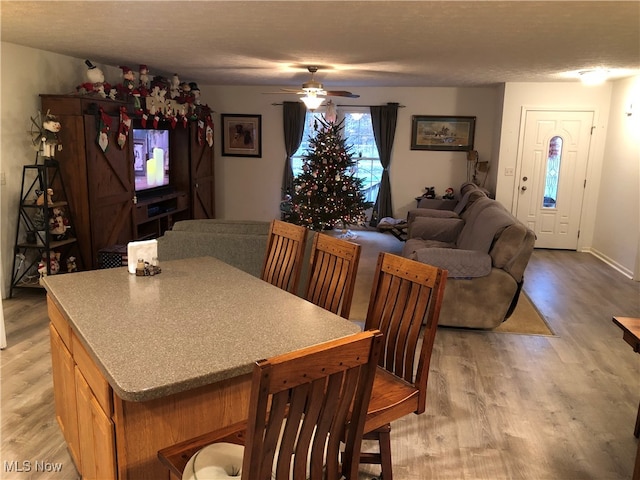 dining space featuring light wood-type flooring, ceiling fan, and a textured ceiling