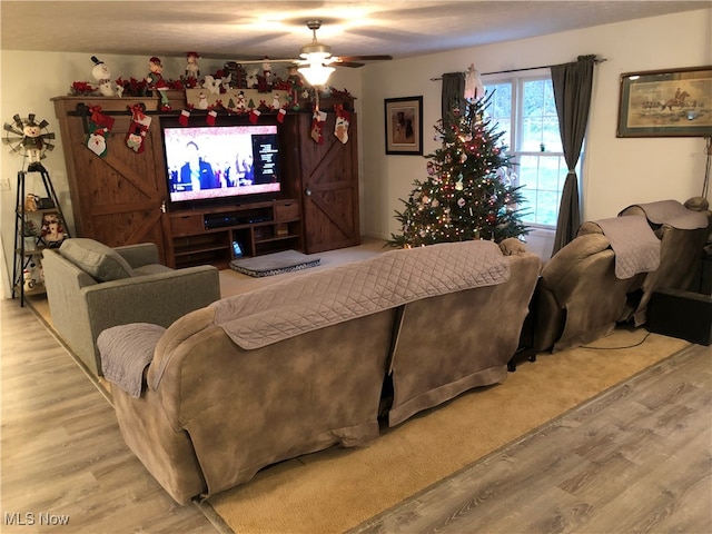 living room with ceiling fan and light hardwood / wood-style floors