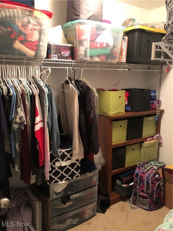 walk in closet featuring carpet flooring