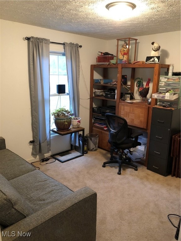 carpeted office featuring a textured ceiling